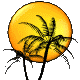 für viel Sonne ist bestens vorgesorgt für viel Sonne ist bestens vorgesorgt
